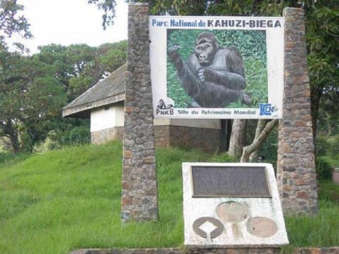 Parc De Kahuzi Biega