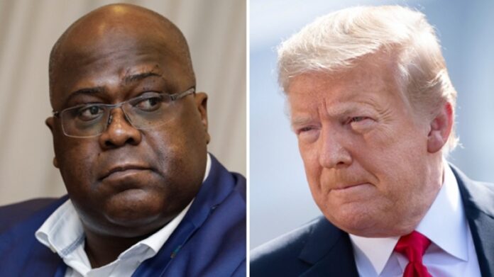 fatshi trump