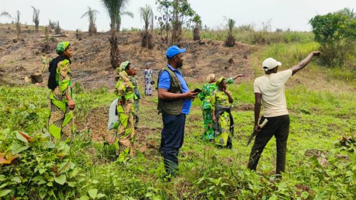 génie kande chez les soeurs 1