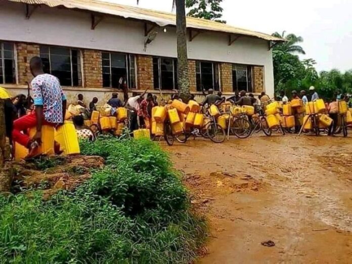 52702802 2270139129888408 5218465627773075456 n