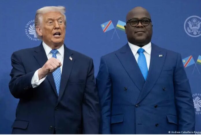 trump et tshisekedi