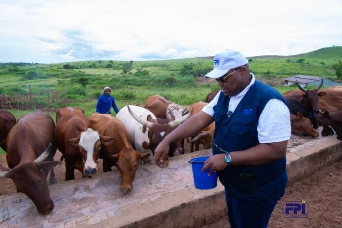 82690d68 f3f8 4c41 9516 a1f9d033fa50